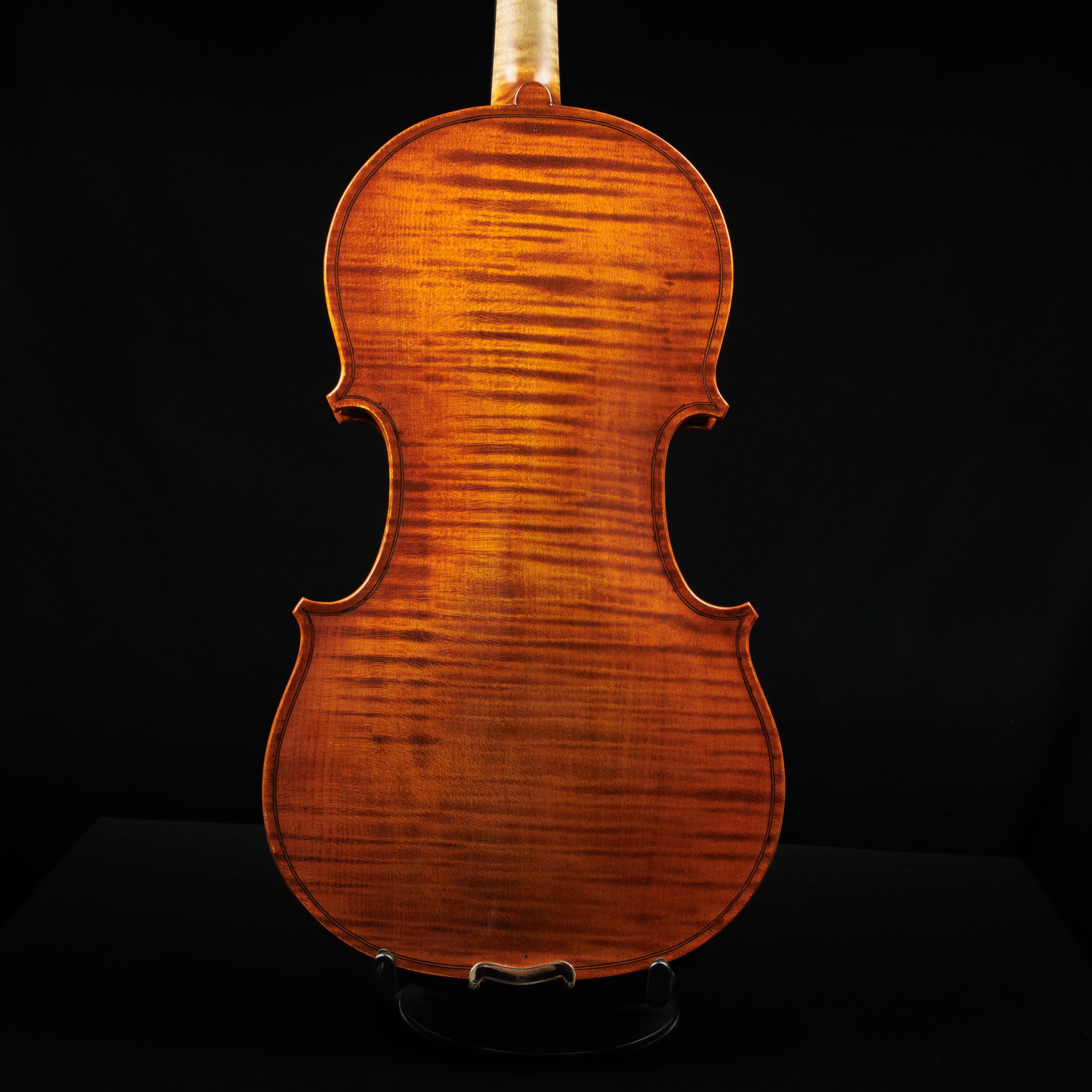 Violino corpo